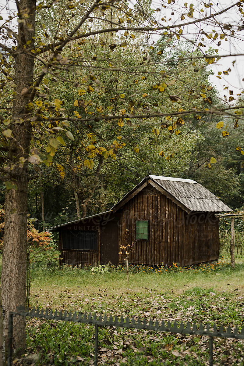 Small wooden cabin