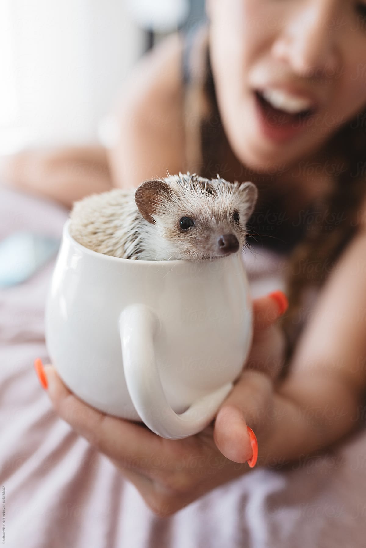 A woman playing with her hedgehog