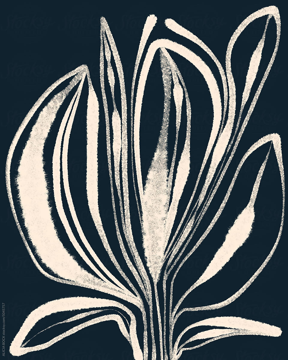 Floral Illustration In White And Navy Blue Tones