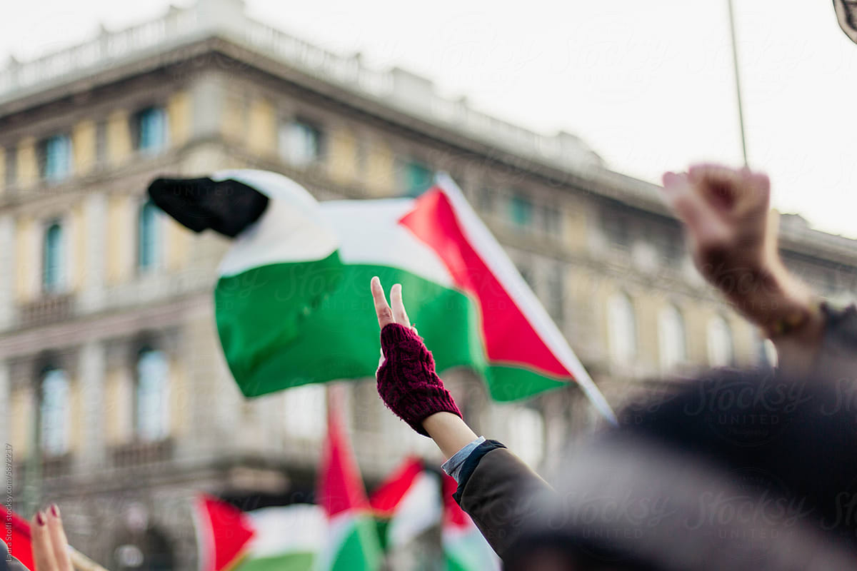 Victory sign and Palestine flag