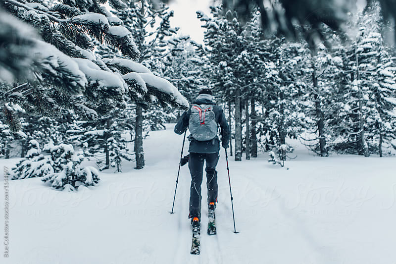 Skier going uphill on his skis, cross-country skiing
