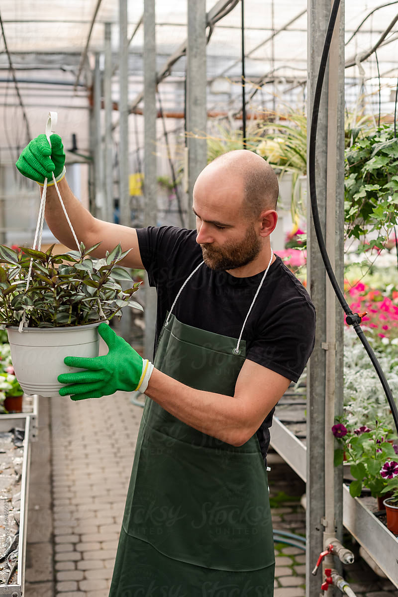 Florist works with plants inside orangery