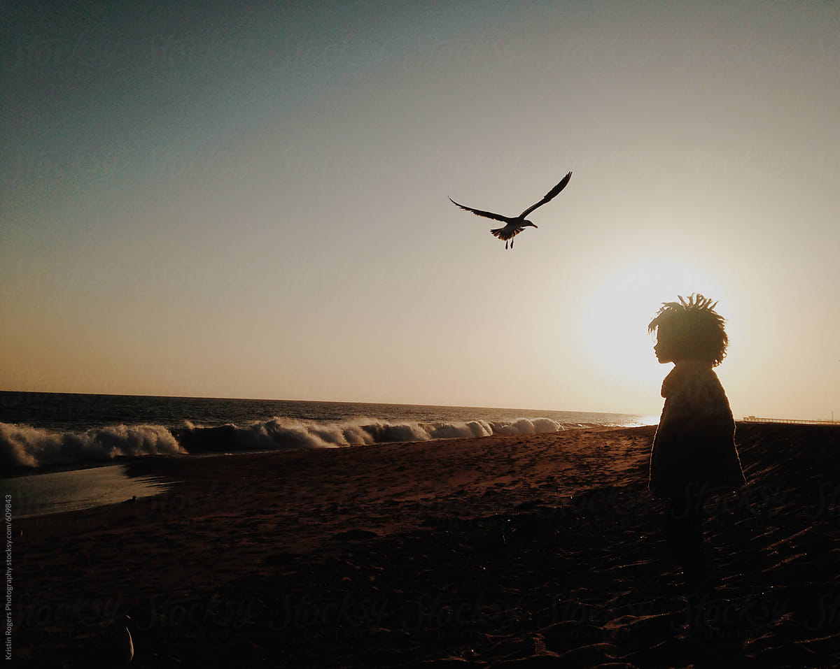 young girl with afro looking out at ocean with bird flying above