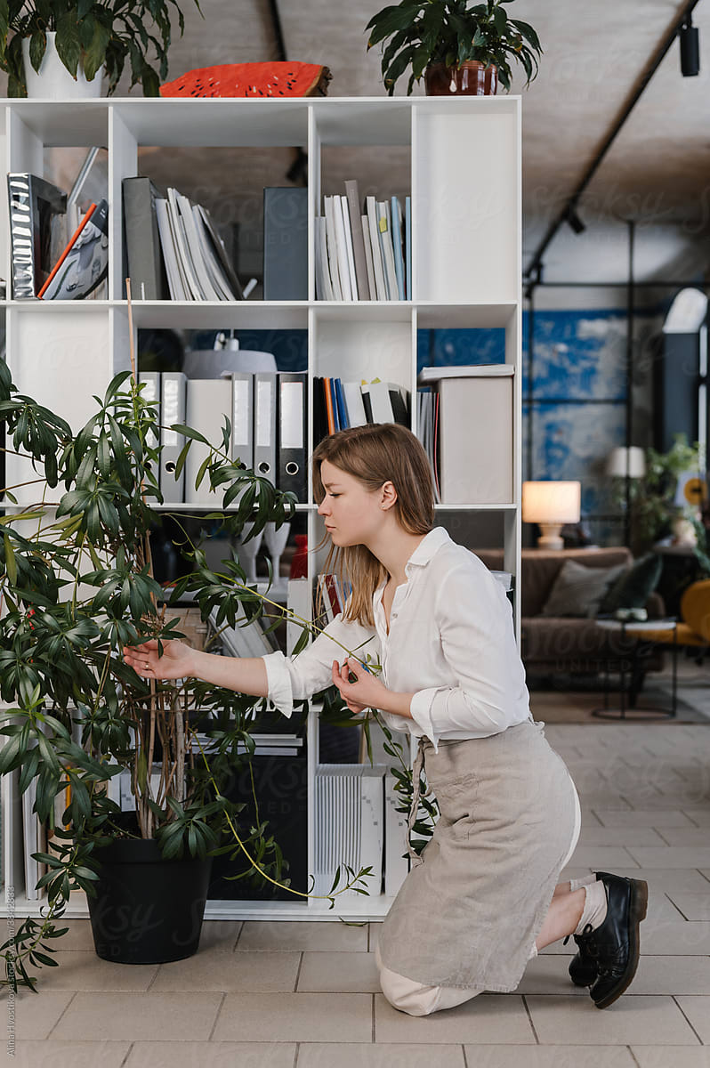 Woman in apron caring about plant in office