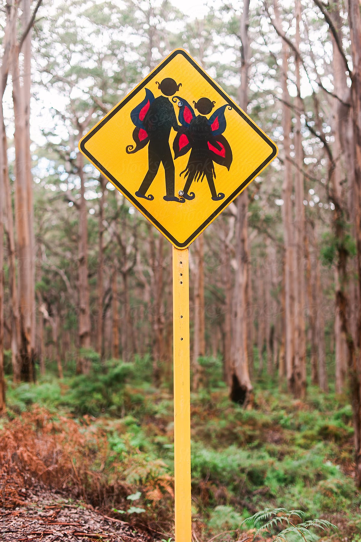 Fairies crossing sign in forest in Western Australia