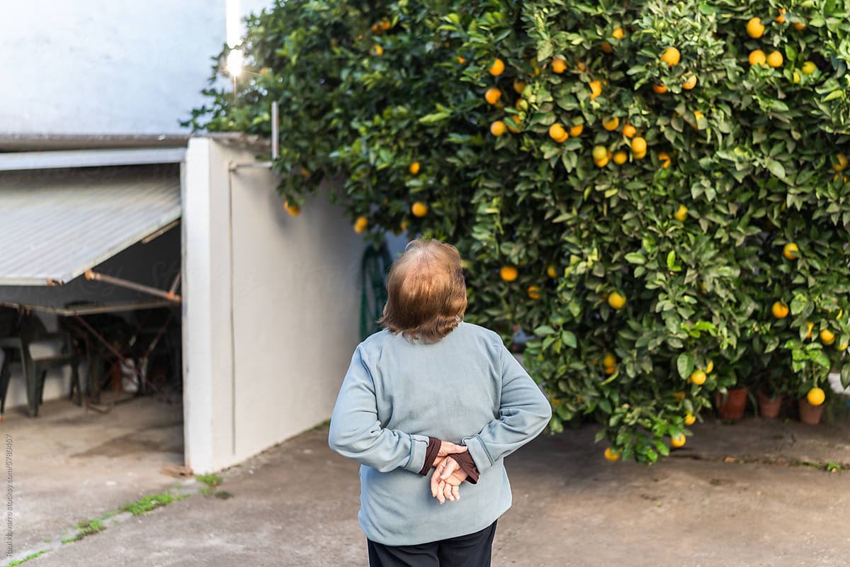 Rear view of senior woman standing in front of orange tree in garden