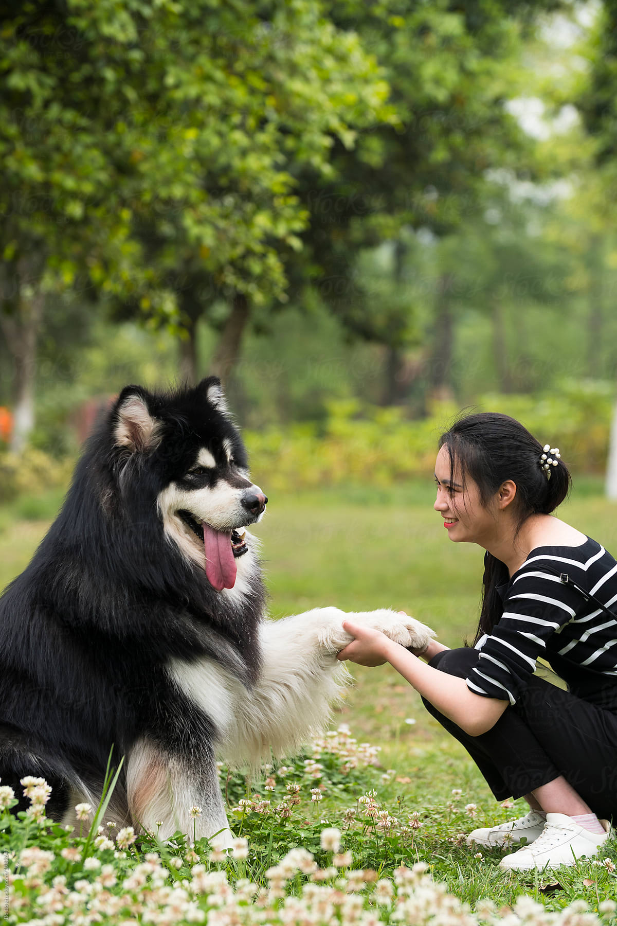 Young asian woman with her dog outdoor