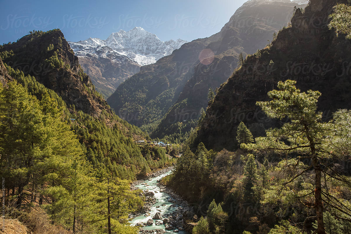 Forested Himalayan Gorge