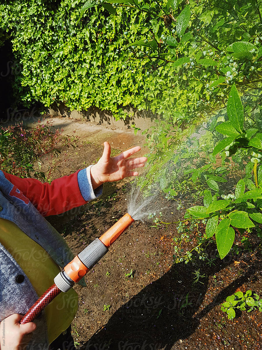 Toddler hoses the garden