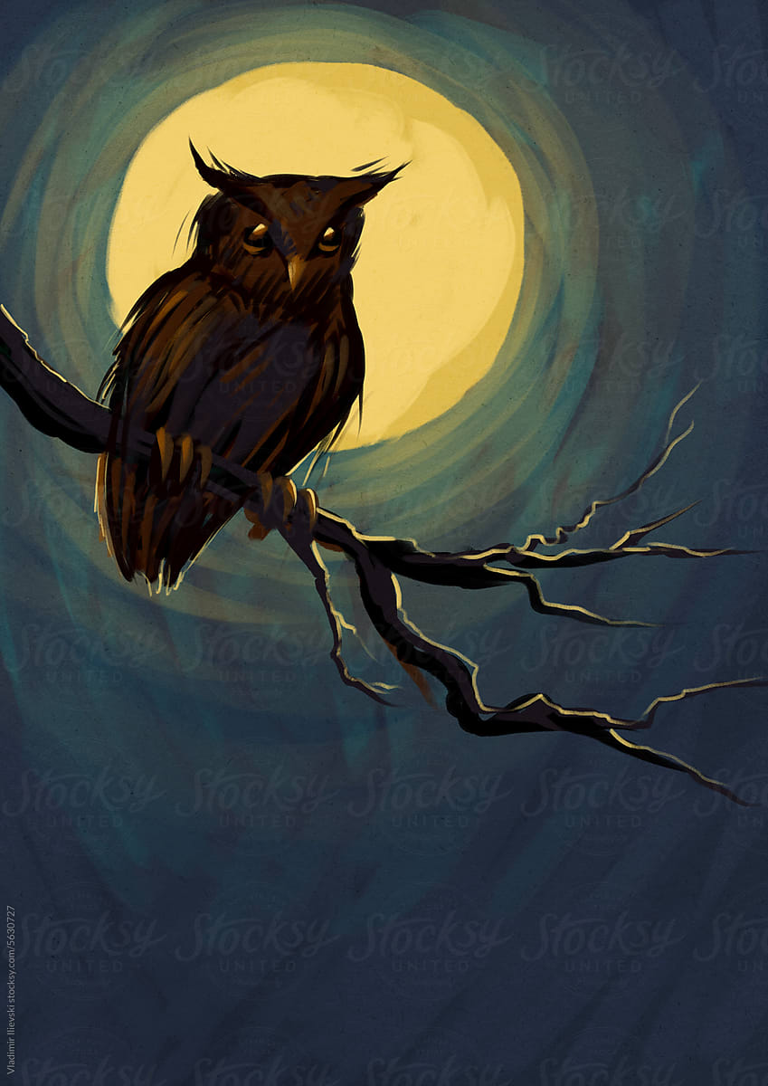 Spooky owl