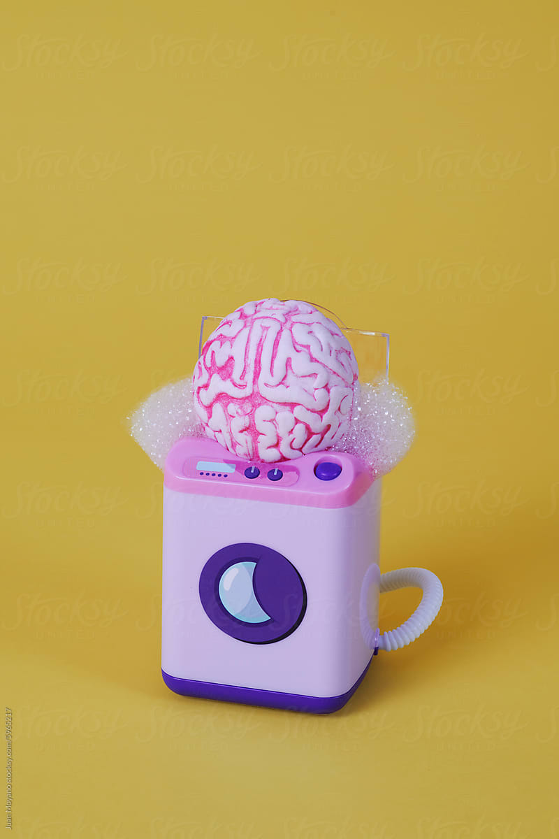 brain in a washing machine