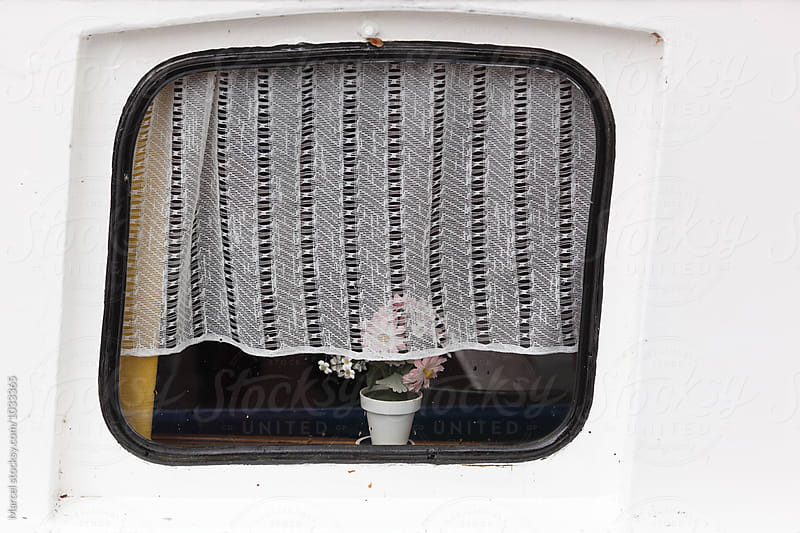 Houseboat window with plant