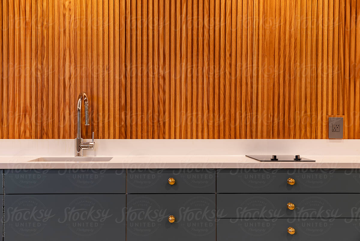 Vertical Wood Paneling in Modern Home  Kitchen with sink