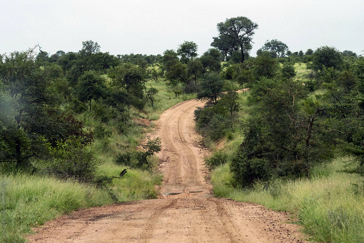Empty dirt road in Kruger National Park