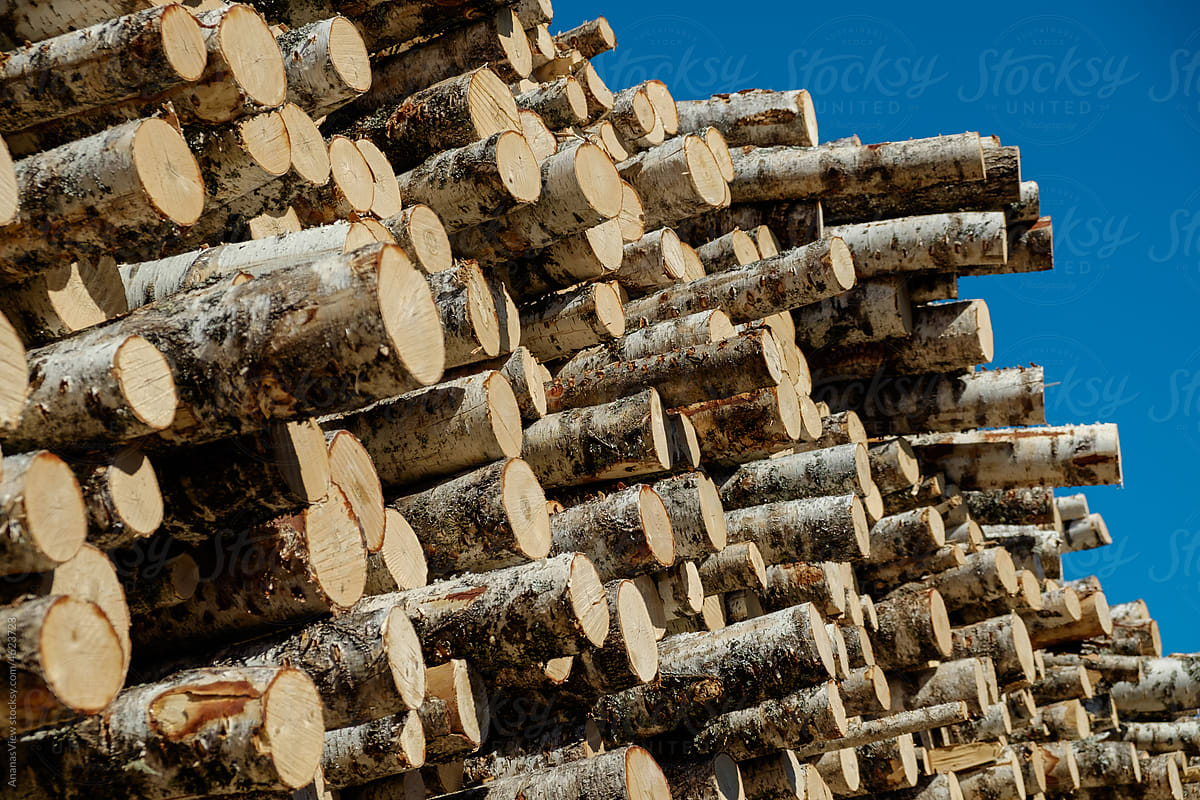 Stack of logs at a lumber yard