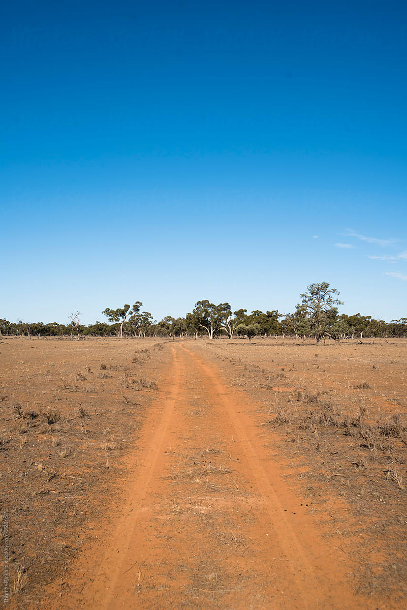 Track leading to bush, outback Australia.