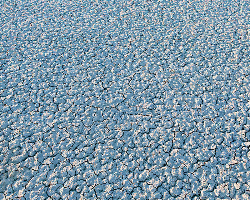 Detail of cracked earth from the Black Rock Desert
