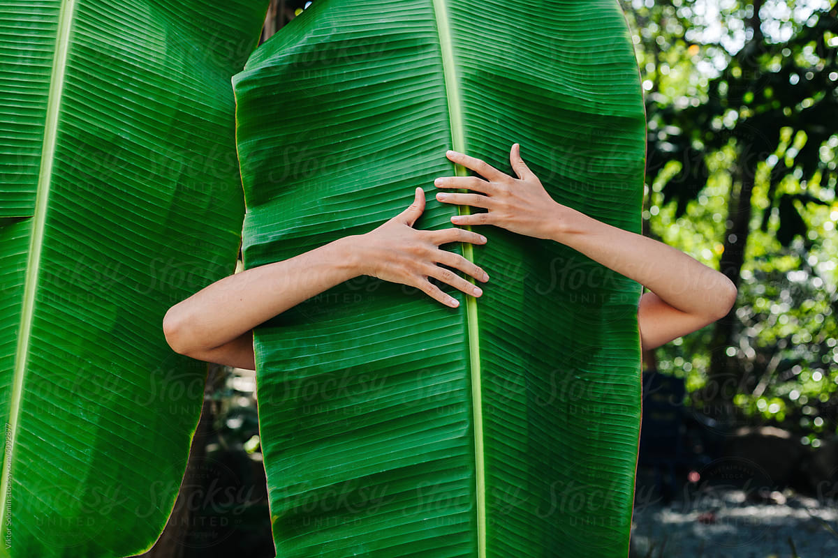 Crop woman touching palm leaf