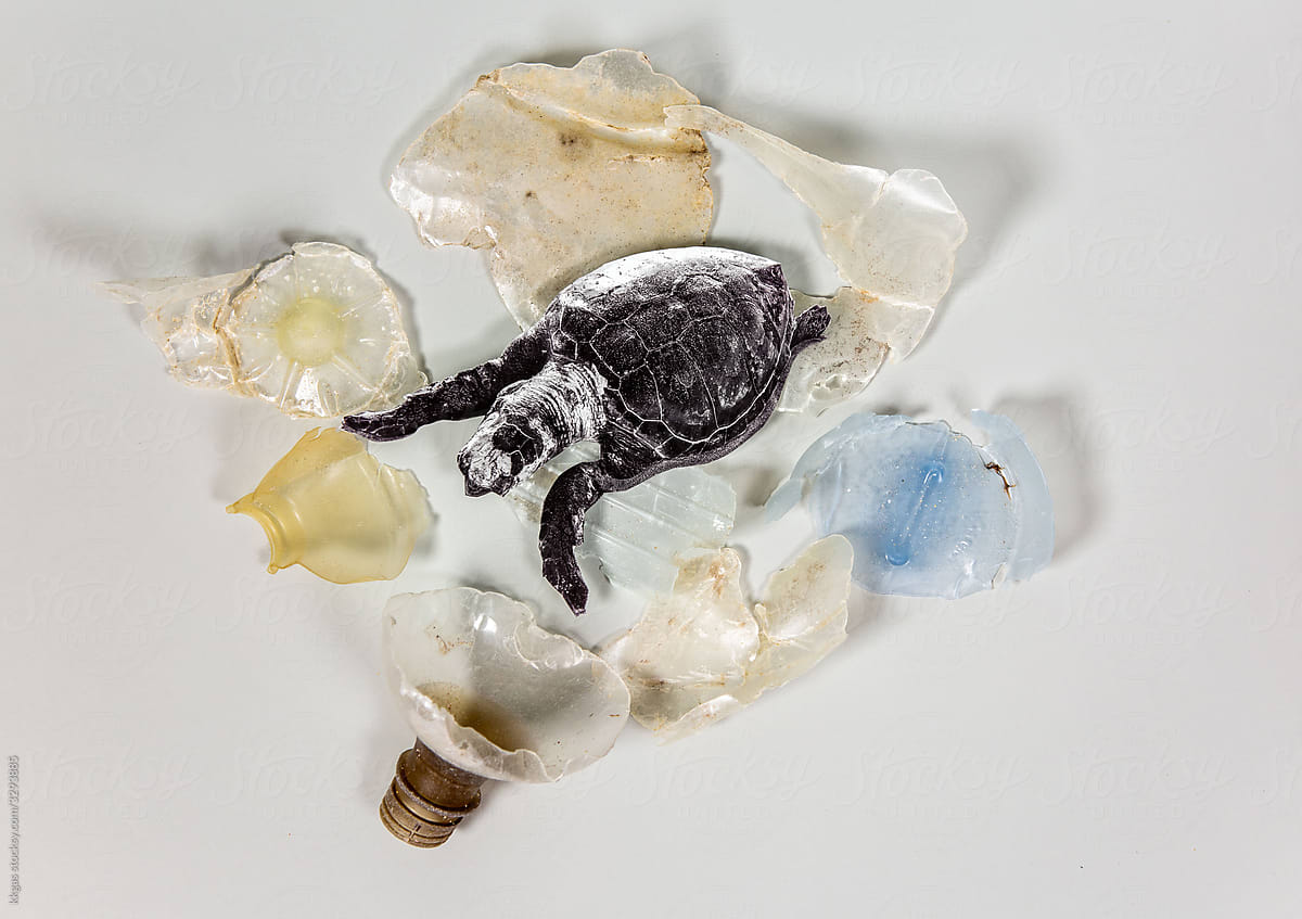 Sea turtle and plastic pollution collage