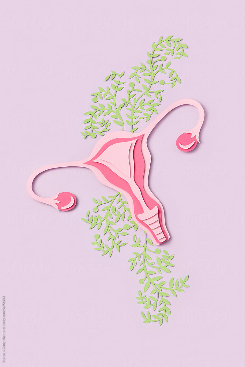 Healthy female uterus and green leaves made of paper in studio