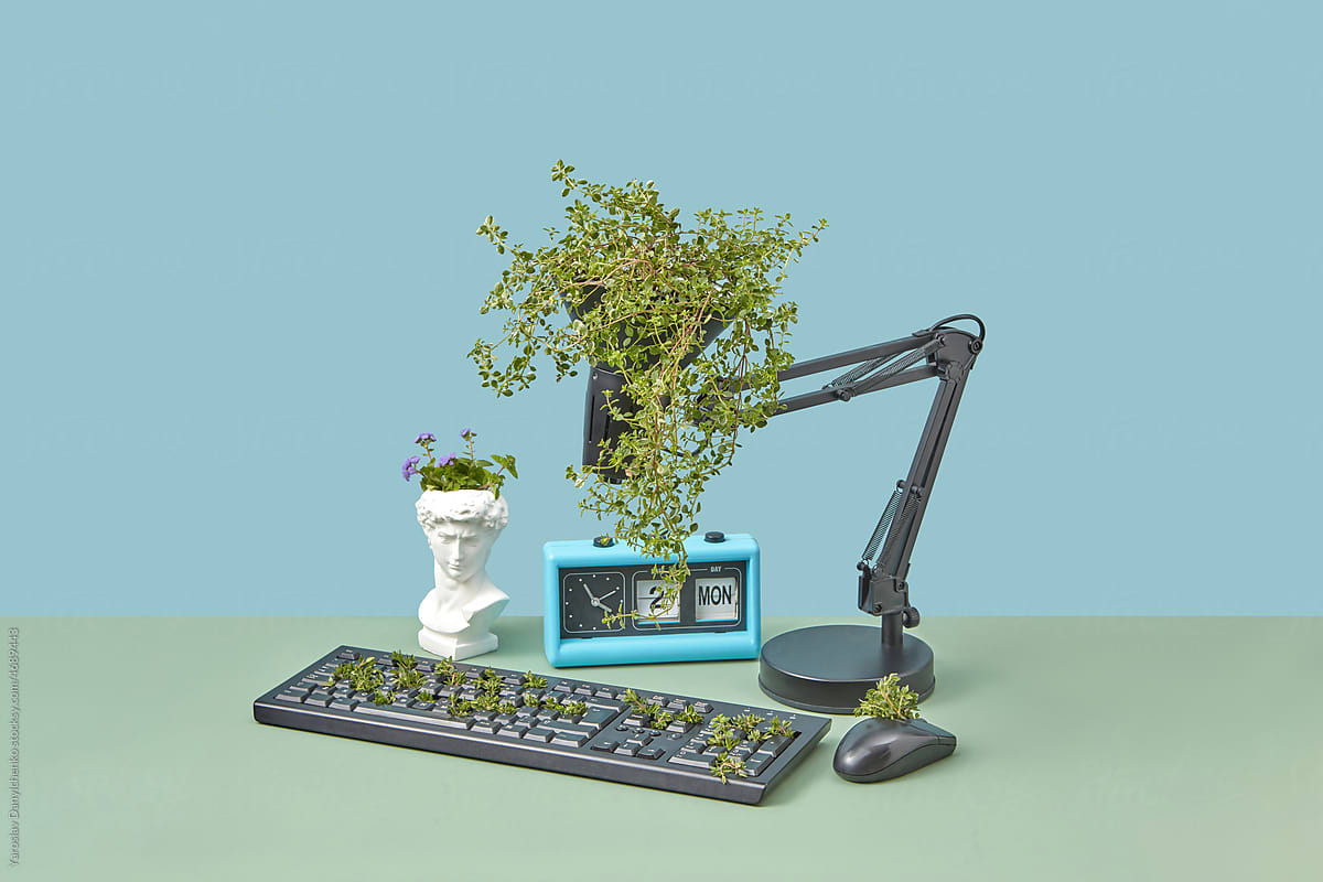 Reused lamp and keyboard as gardening planters