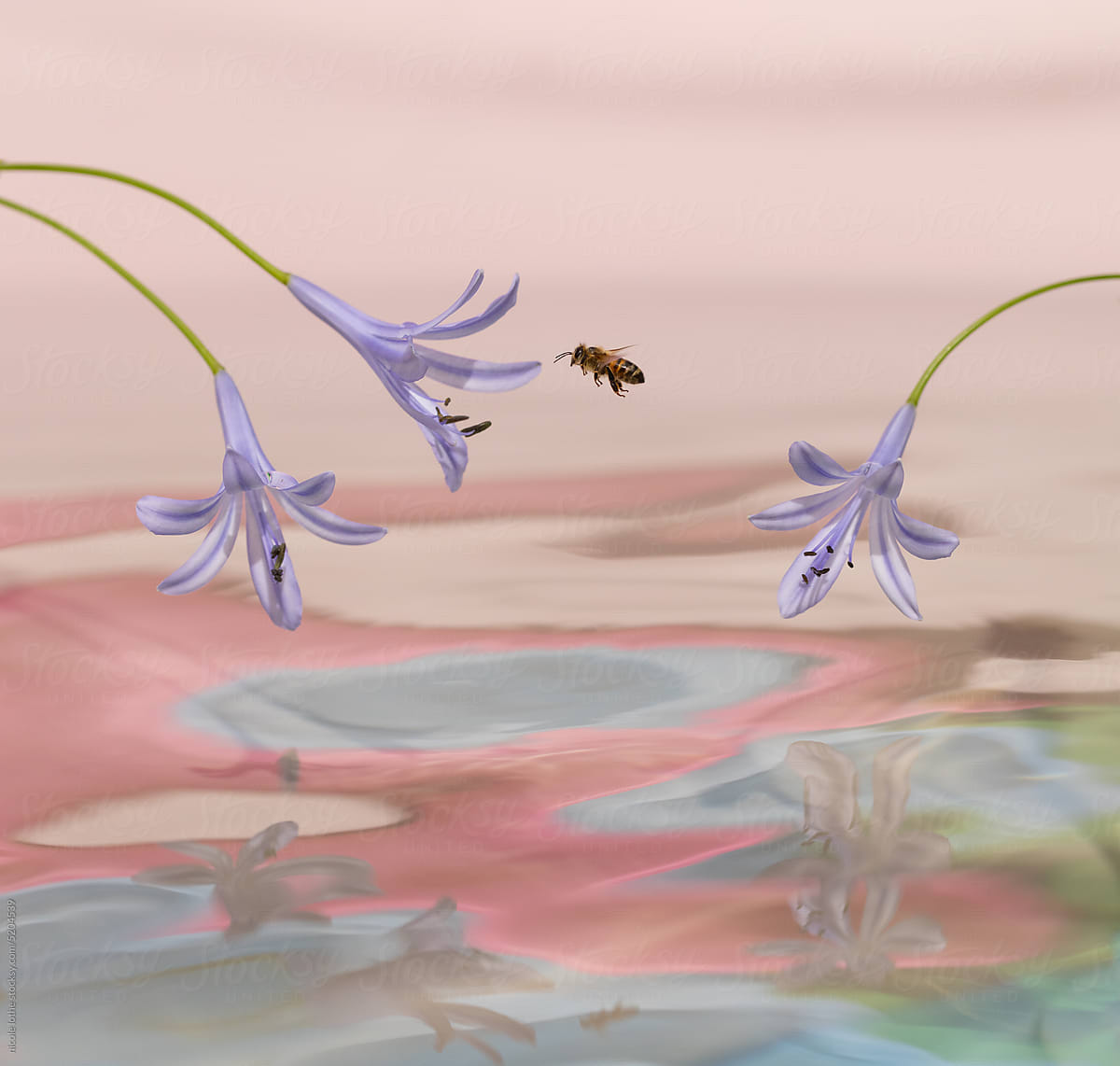 Bee flying between flowers over Psychedelic water.