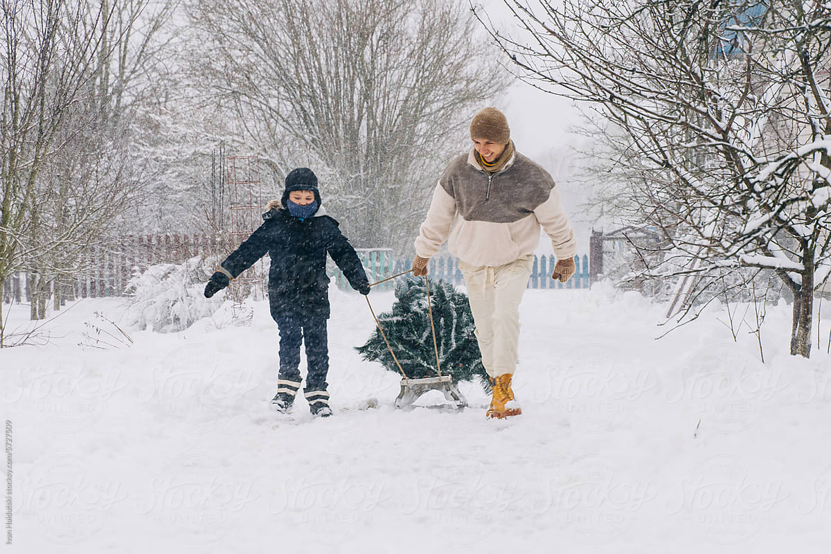 Dad and Son Bringing Home a Christmas Tree on Sleigh in Stormy Winter