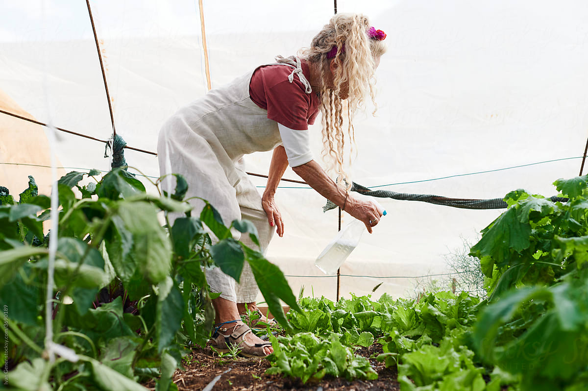 Senior woman spraying plants in her greenhouse