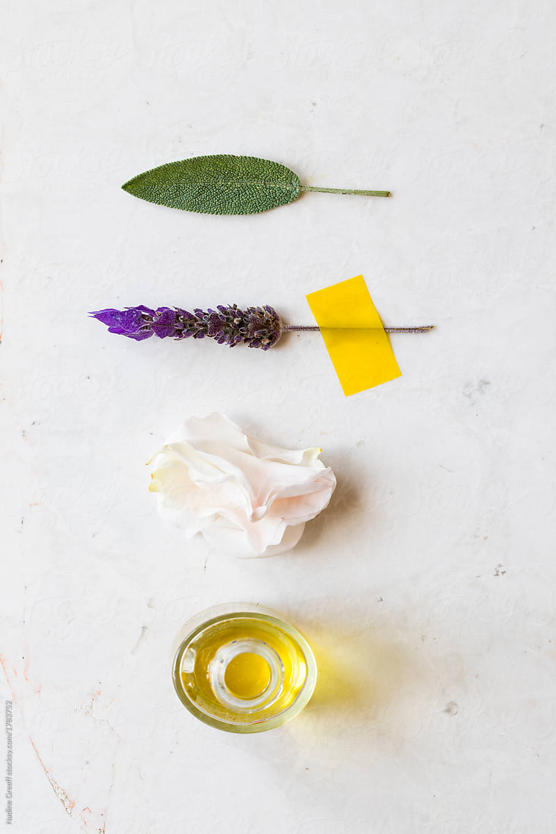Plant based aromatherapy oils