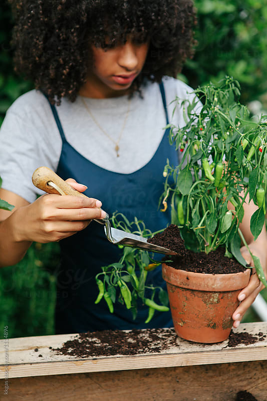 Young mixed race woman planting plants in a garden