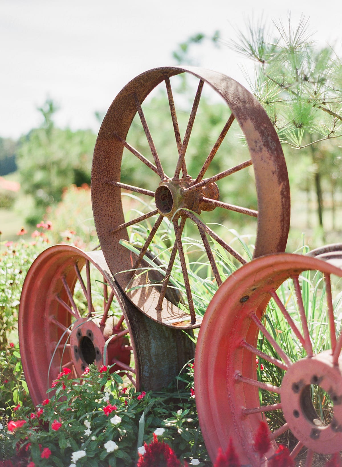 Three old rusted wagon wheels displayed on a farm