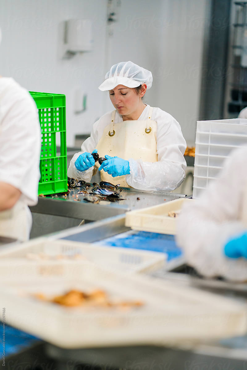 Professional factory worker peeling mussels