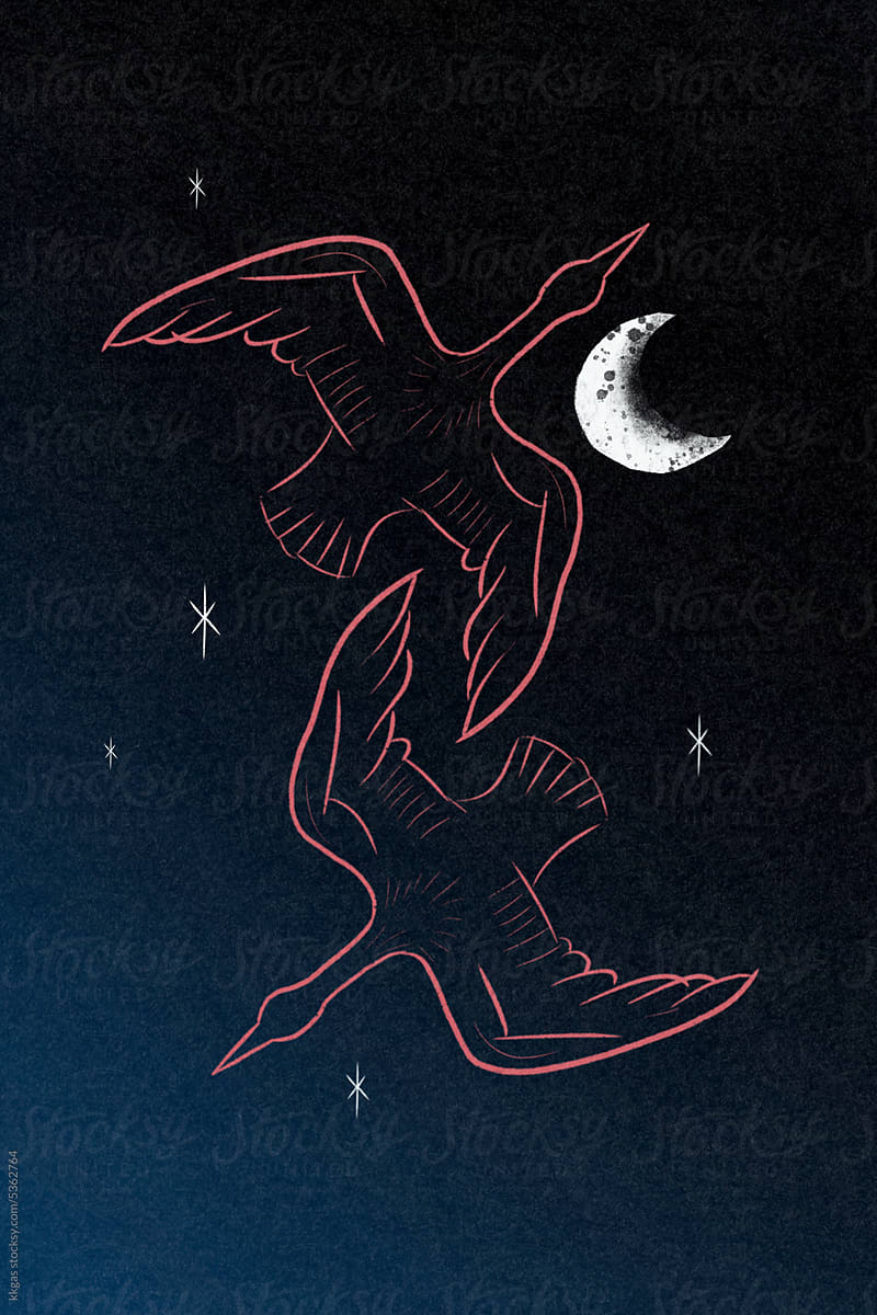 Night Birds against the moon