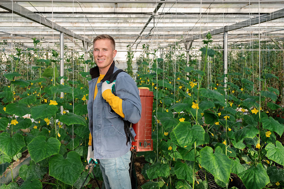 Friendly male farmer with spray tank amidst cucumber plants