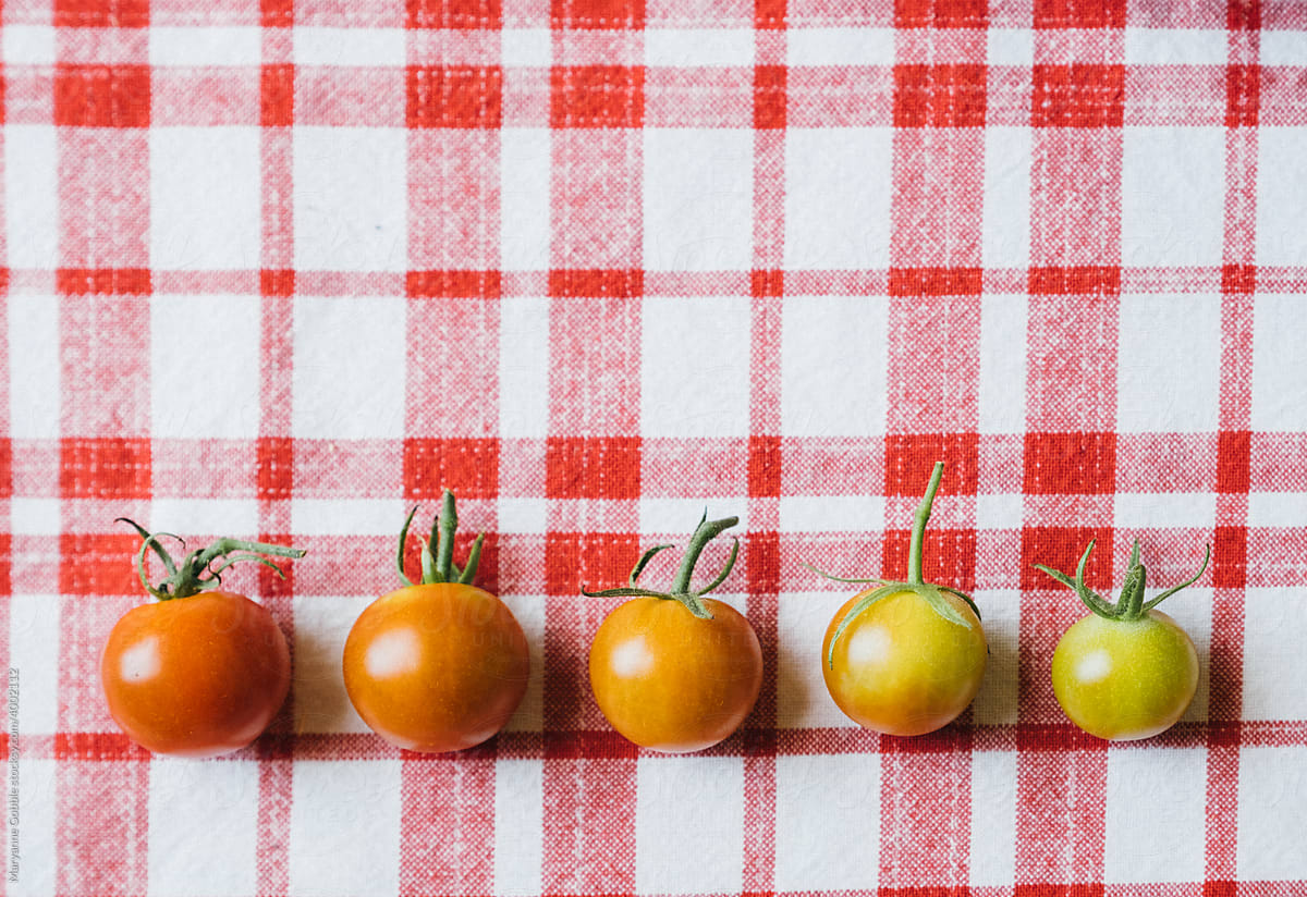 A rainbow of tomato colors