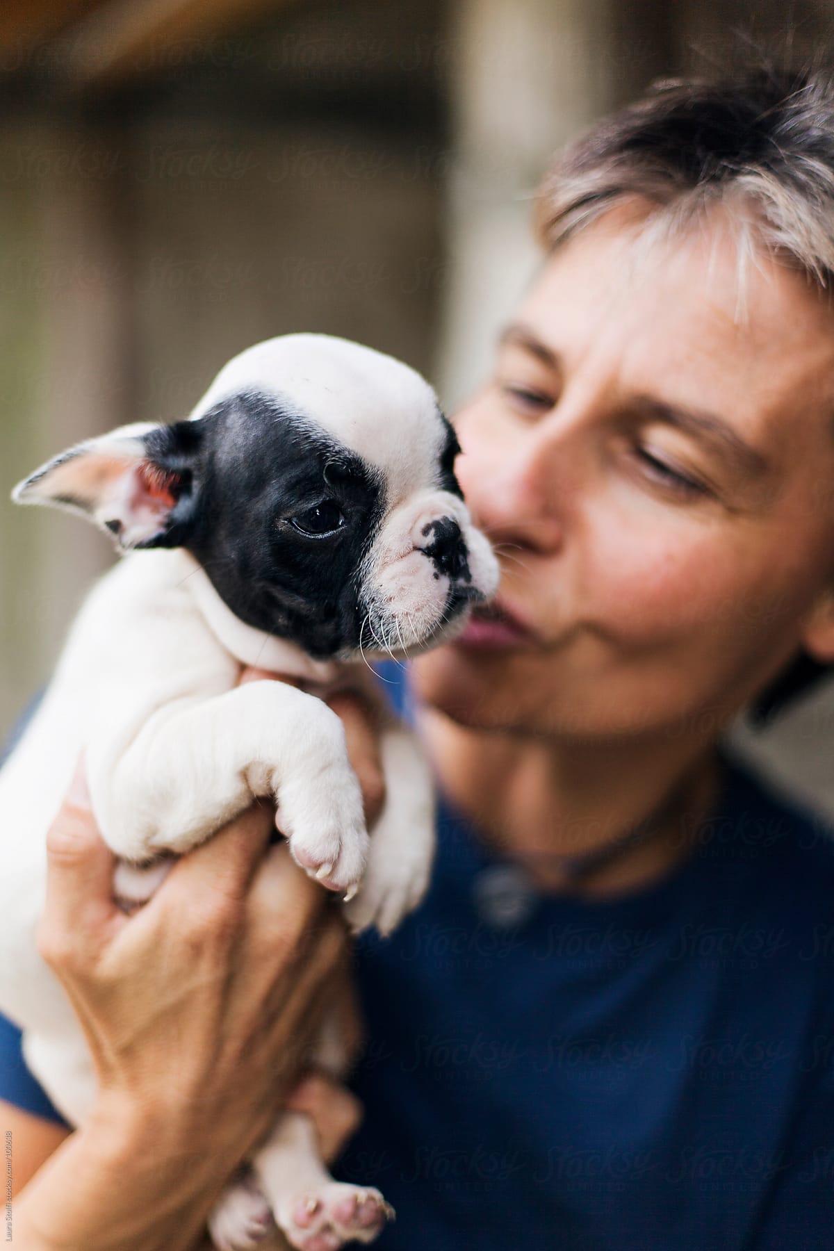 Woman holding in her hands and cuddling a black and white French Bulldog pup