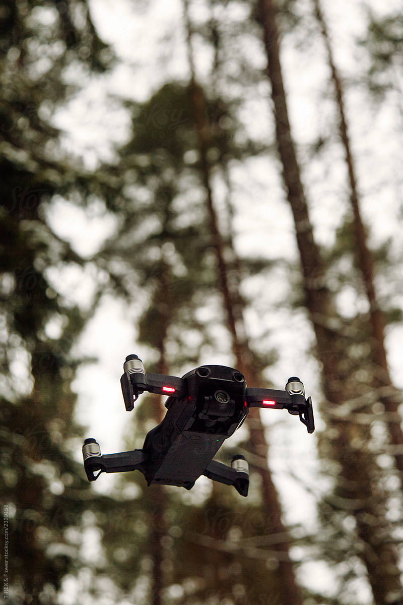 Blinking drone in tranquil forest
