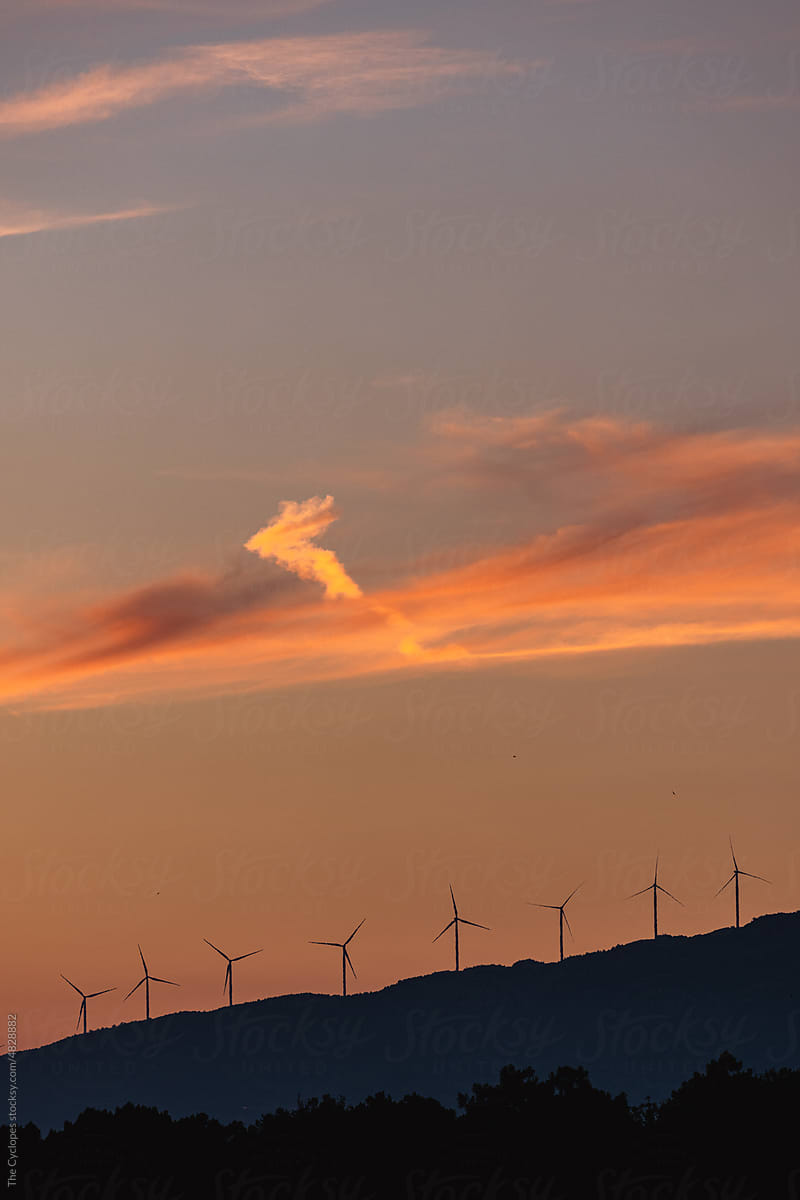Windmills At Sunset