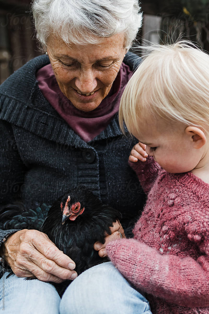 Grandmother showing granddaughter a chicken