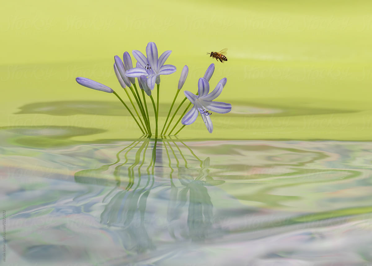 Bee flying over blue flowers with psychedelic reflections.