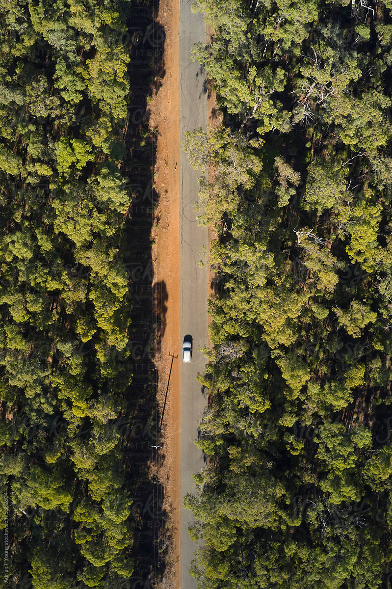Bird\'s eye view of car driving through Australian forest