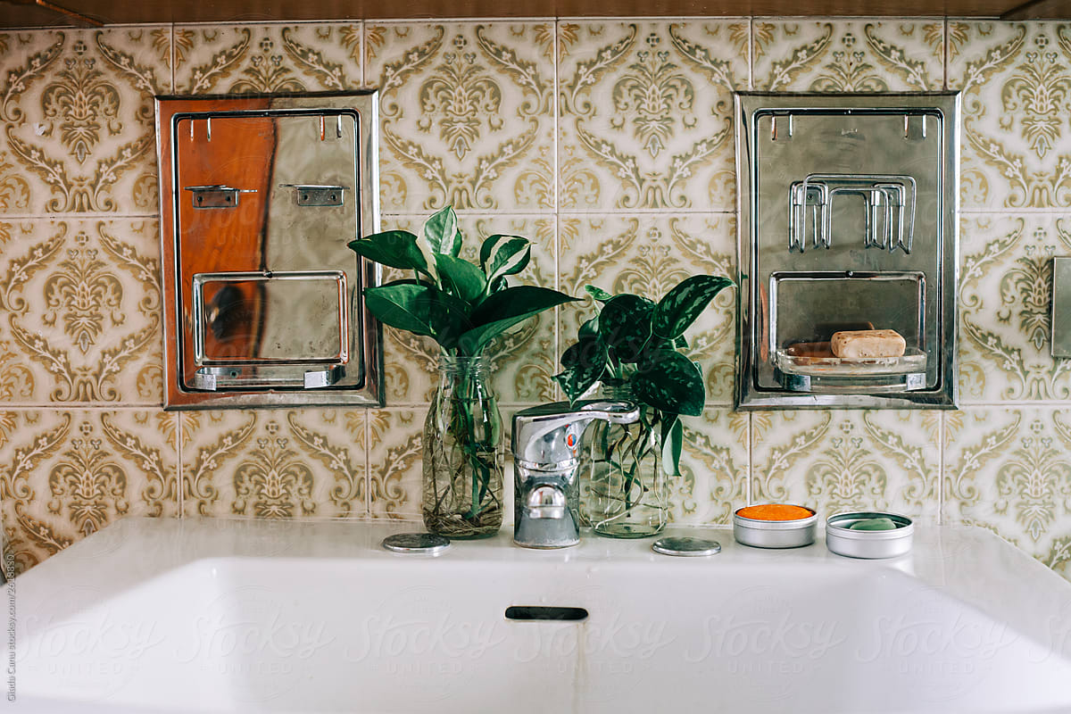Vintage bathroom with plants and eco friendly soap