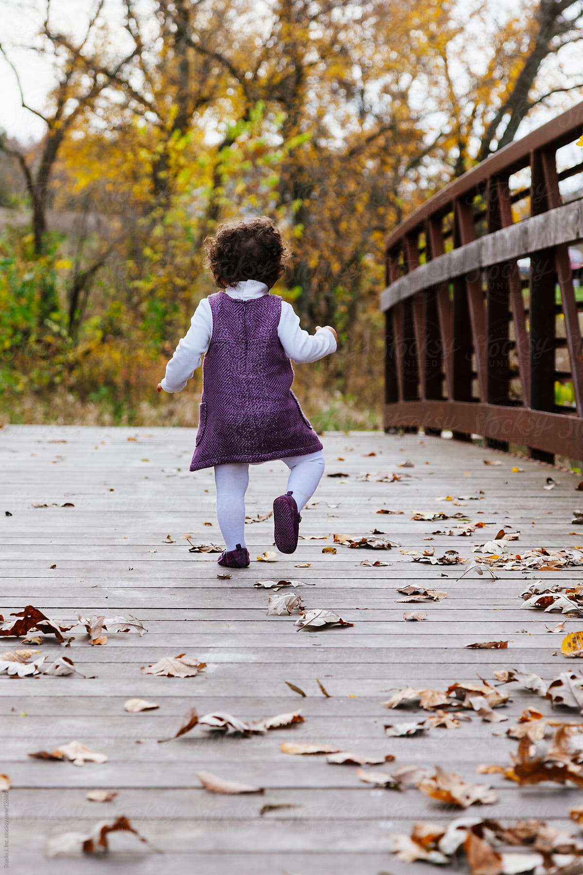Biracial Toddler Girl Walks on Bridge Outdoors in Autumn