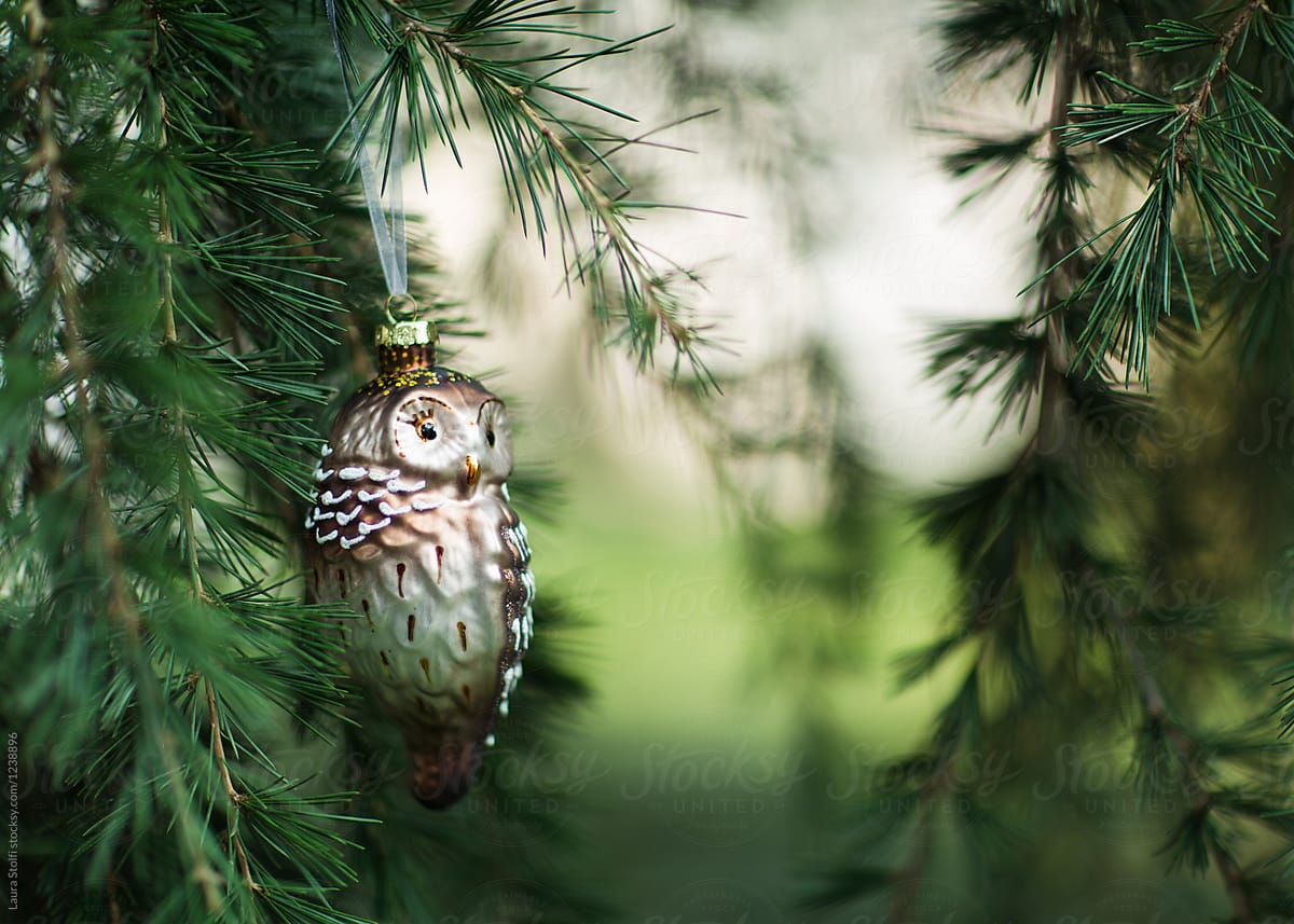 Old-fashioned owl glass ornament on tree