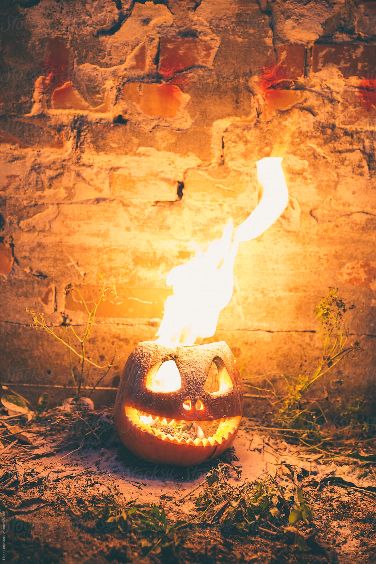 Flame of fire coming out of carved Halloween pumkin