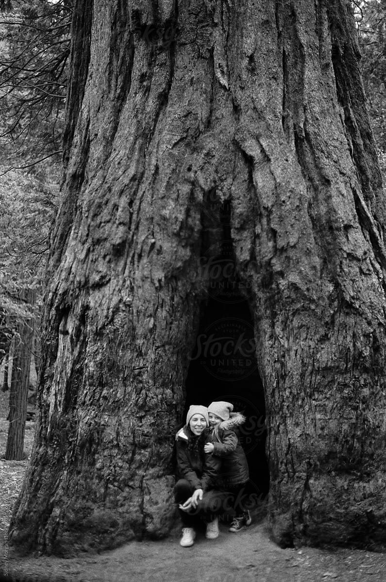 Ava & Rachelle in a Tree