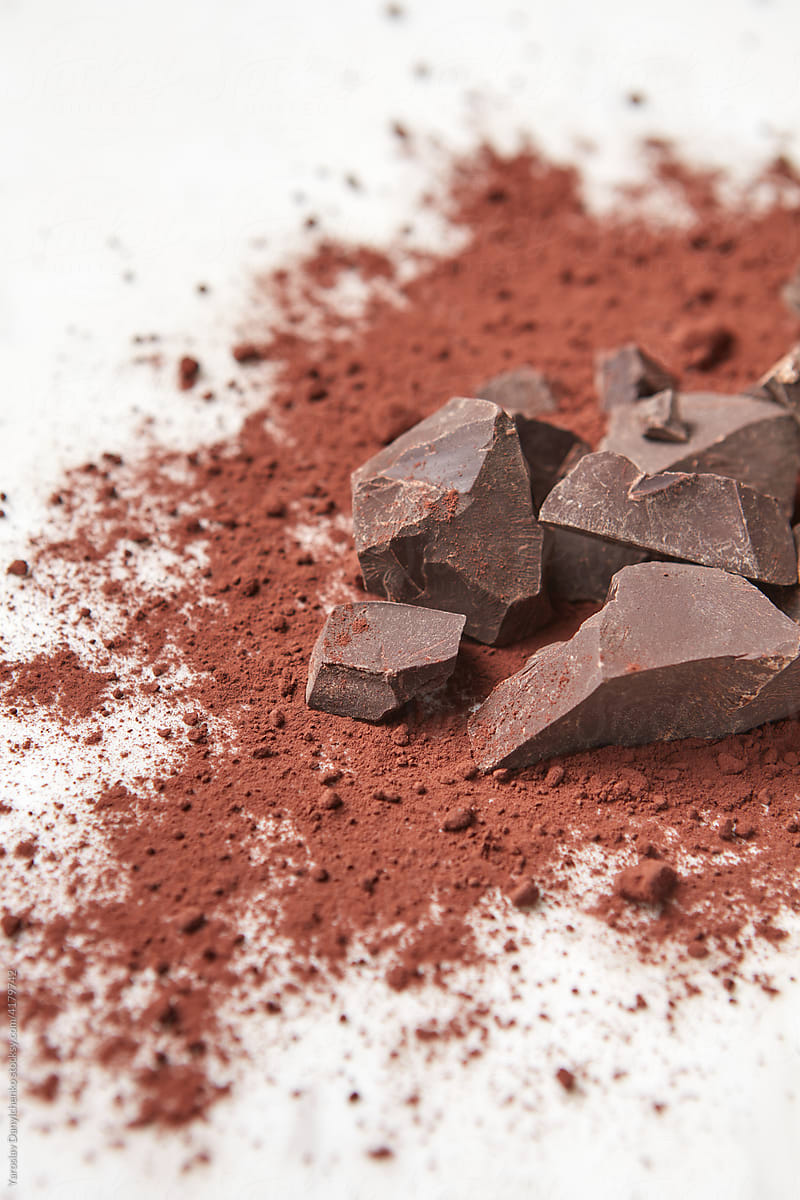 Chunks of dark chocolate lying in cocoa powder