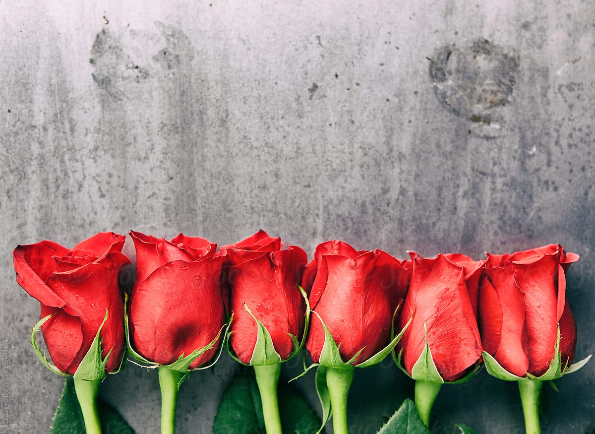Valentine: Half Dozen Red Roses On Grunge Metal Background