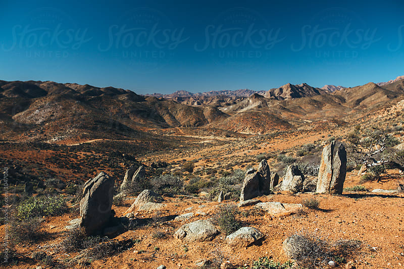 rocks in a desert wilderness landscape