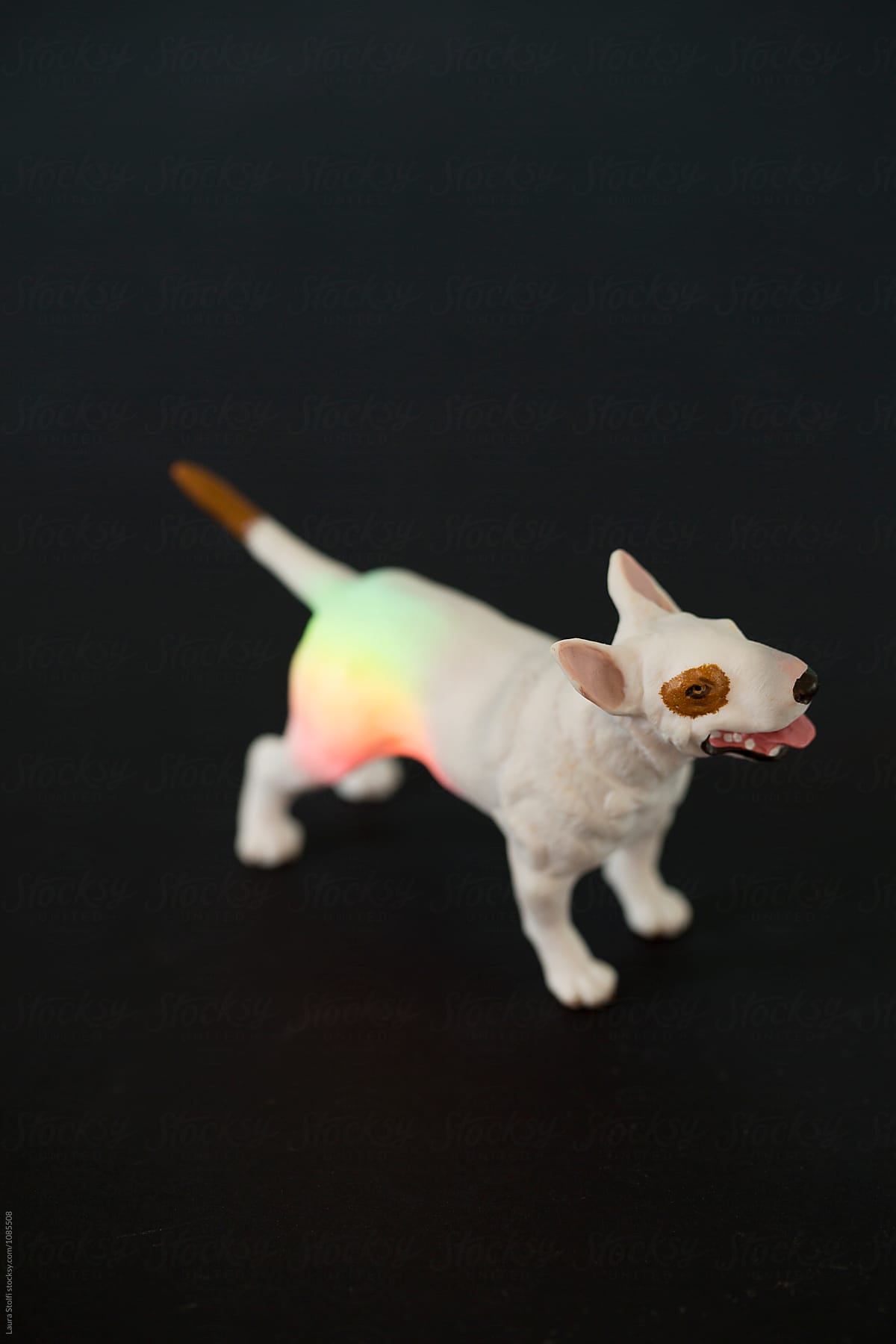 Terrier toy with rainbow light on it on black